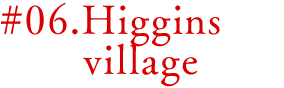 #06 Higgins village